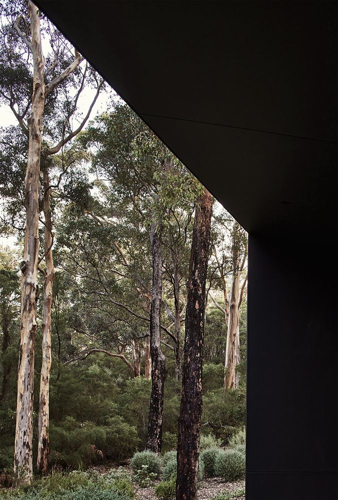 Boranup House MORQ