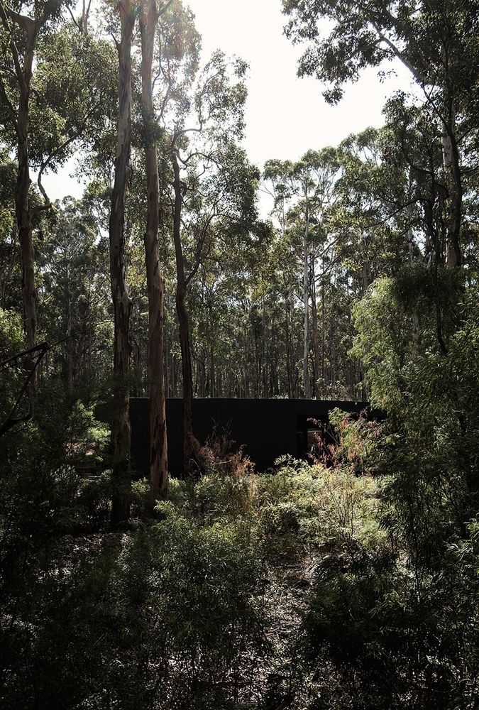 Boranup House MORQ