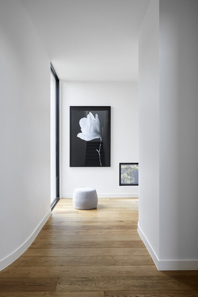 BAIRD ST Webster Architecture - Interiors