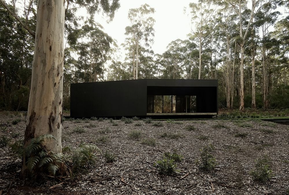 Boranup House MORQ