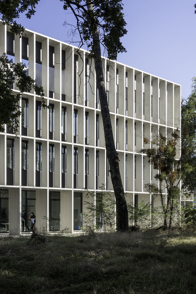 波尔多大学校园建筑 H 栋 | 理性与自然的完美融合