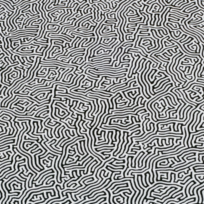 山本基的“海洋之盐”艺术 | 用盐描绘生命的短暂与永恒