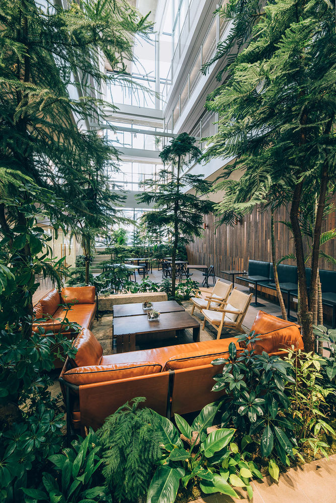 首尔创业中心 Treehouse 树屋共居公寓
