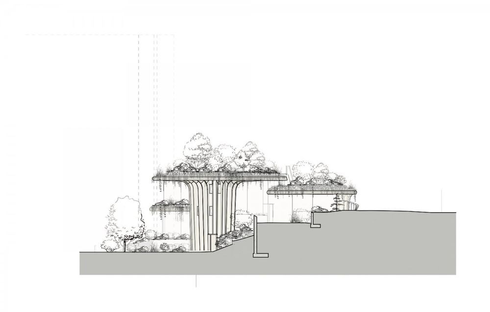 Thomas Heatherwick 打造绿色癌症患者中心 Maggie's Leeds Centre