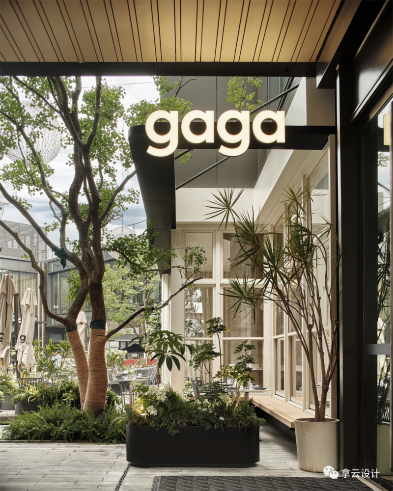 南京万象天地，gaga 餐厅 | 古城中的静谧花园