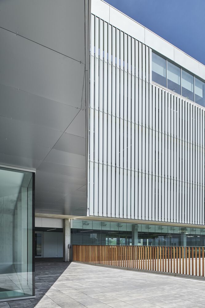西班牙圣塞巴斯蒂安 Aldapeta María Ikastetxea 学校 | 现代教育建筑的典范