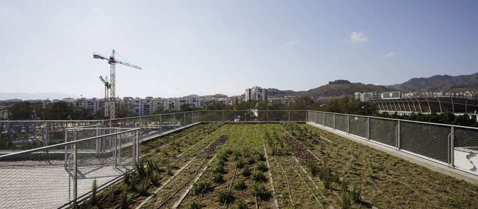 Malaga 红十字协会办公总部 | 城市公园与可持续设计的完美融合