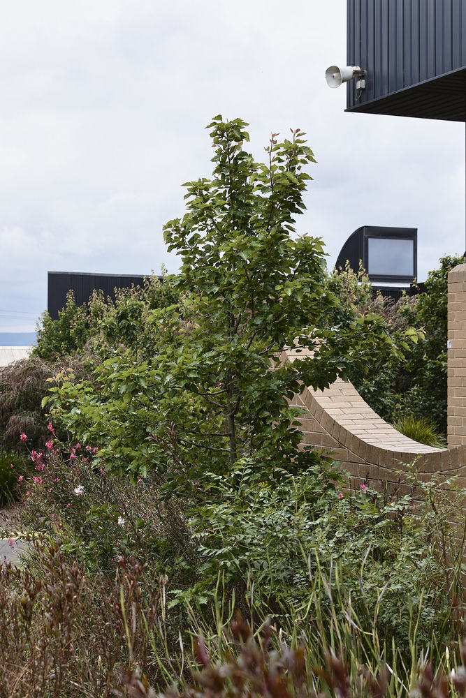 St Kevin's Primary School Kennedy Nolan