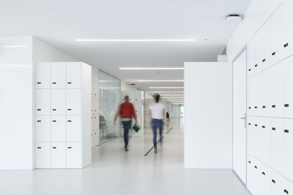 西班牙圣塞巴斯蒂安 Aldapeta María Ikastetxea 学校 | 现代教育建筑的典范