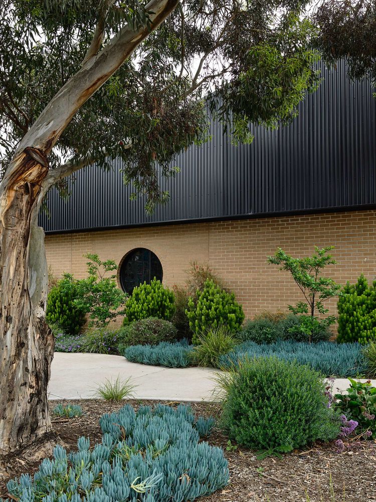 St Kevin's Primary School Kennedy Nolan