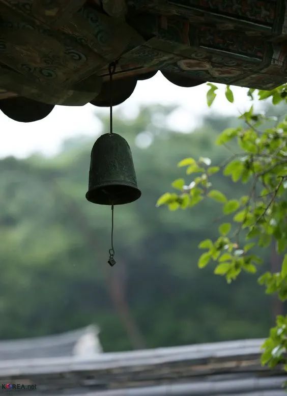 空间与声音的诗篇 | 大象设计的生活哲学