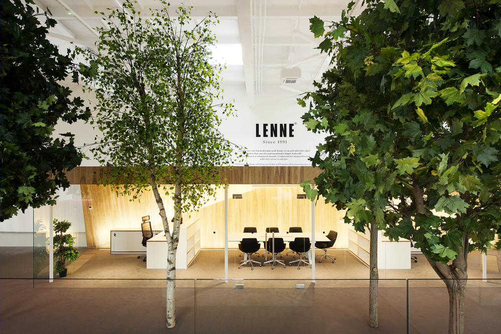 Lenne Office |  打造自然光线下的梦幻森林空间