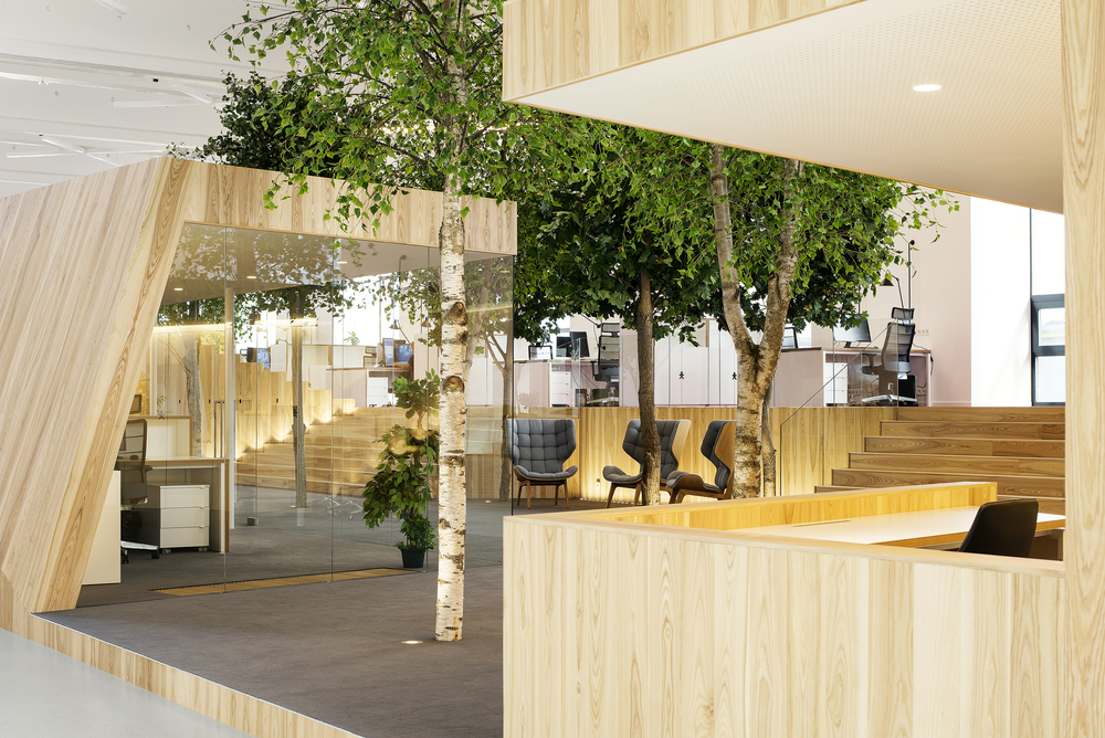 Lenne Office |  打造自然光线下的梦幻森林空间
