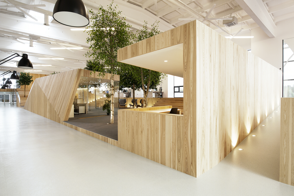 Lenne Office |  打造自然光线下的梦幻森林空间