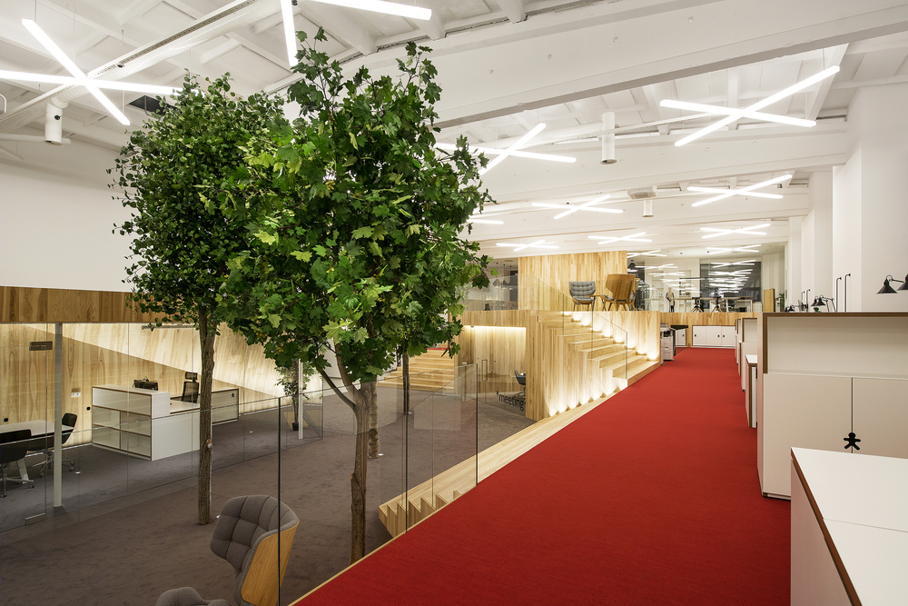 Lenne Office |  打造自然光线下的梦幻森林空间