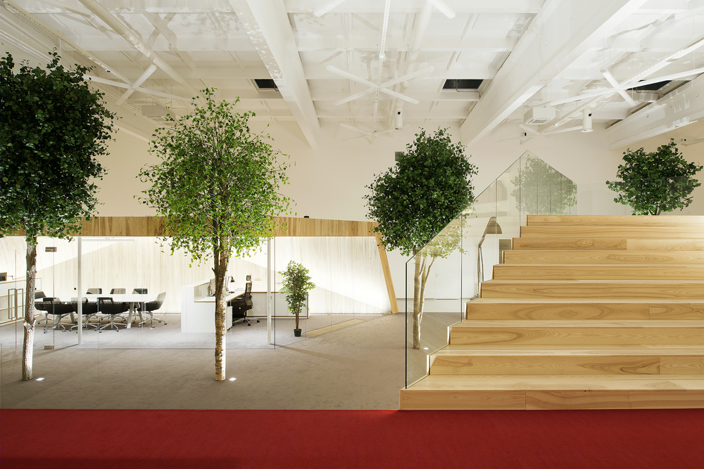 Lenne Office |  打造自然光线下的梦幻森林空间