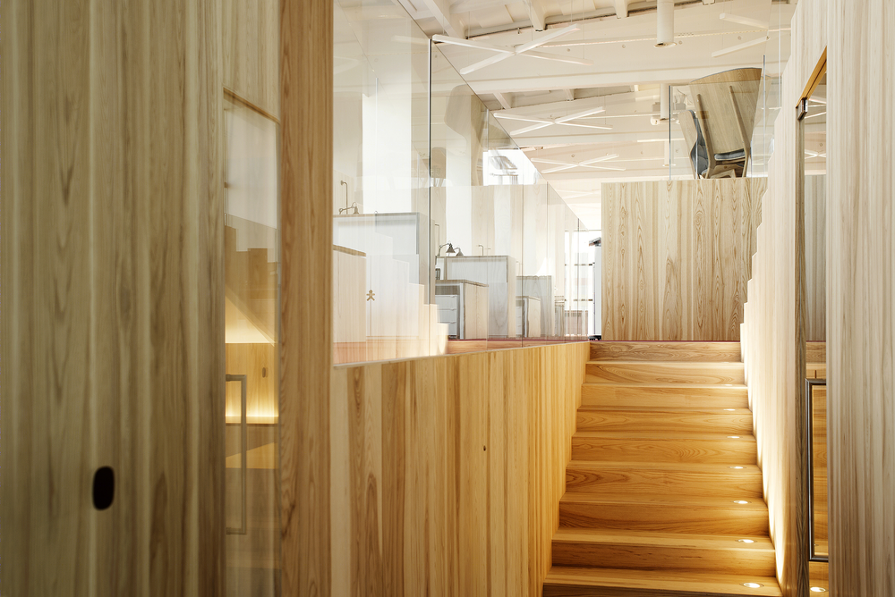 Lenne Office |  打造自然光线下的梦幻森林空间