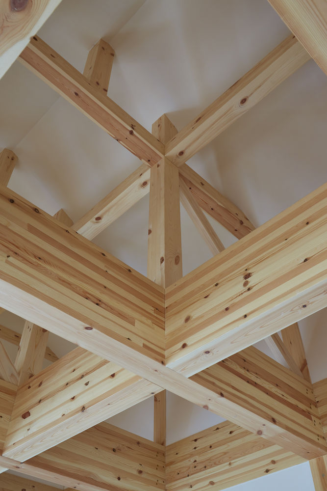 Royal House Co. 丨 别墅丨 Frame House