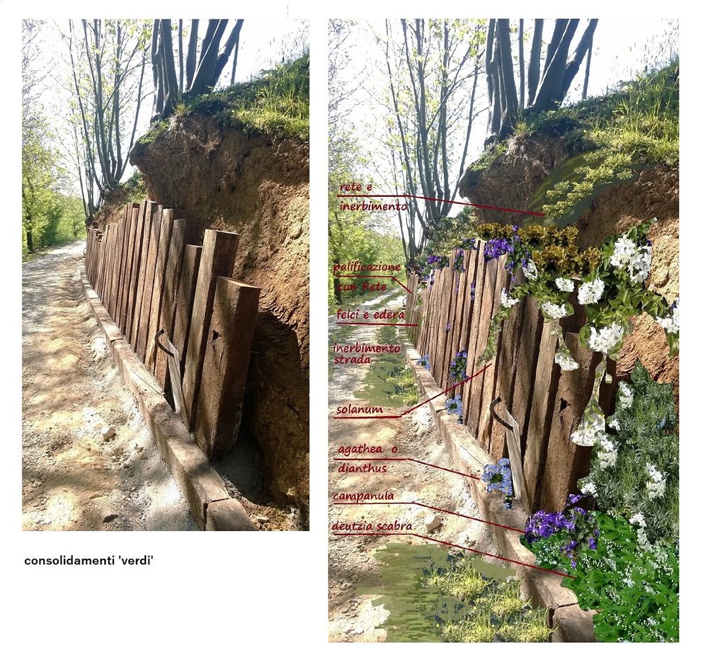 sistemazioni del 'verde', progettazioni esterni e giardini