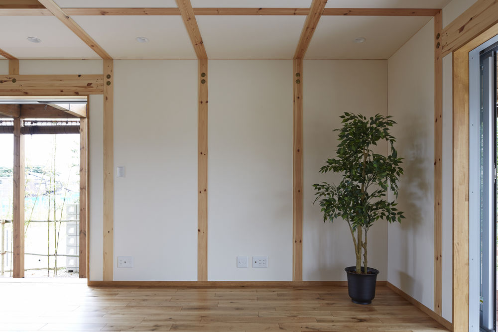 Royal House Co. 丨 别墅丨 Frame House