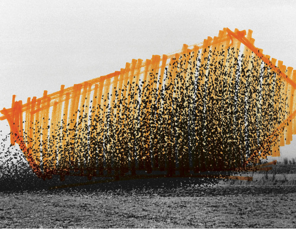 TRACES——KANVA 设计的多感官展览装置于世博会加拿大馆