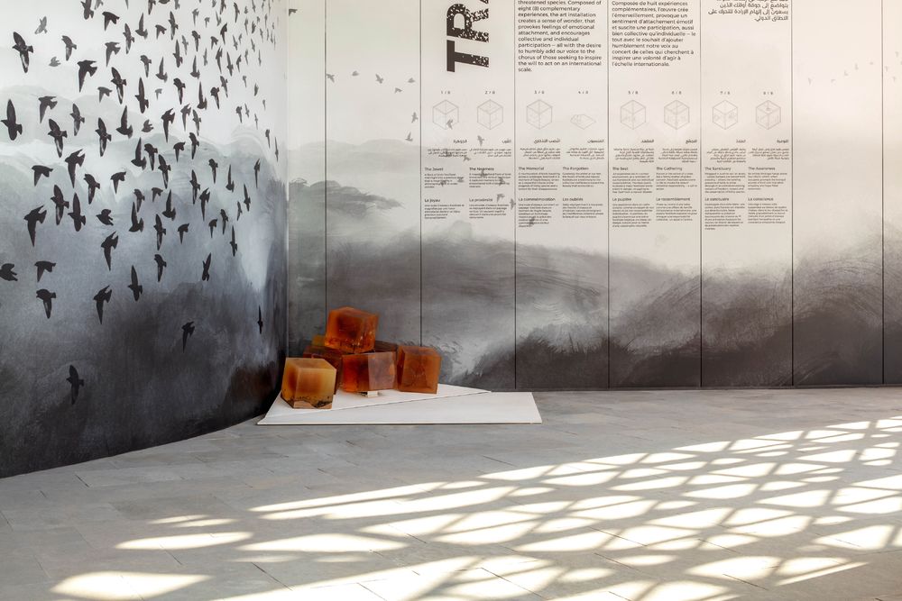 TRACES——KANVA 设计的多感官展览装置于世博会加拿大馆