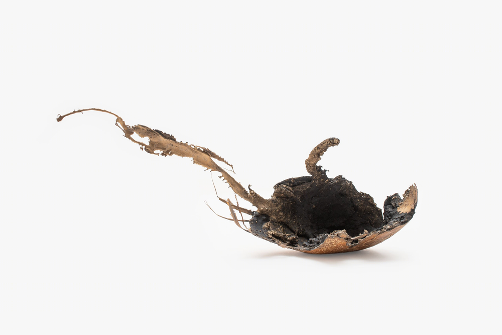 玻璃炼金术 | Omer Arbel 雅典个展探究自然与人工的共生之美
