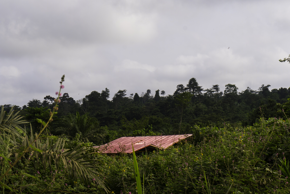 Ghana 高中土建教室 | 融入本土文化的绿色设计