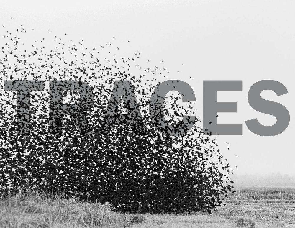 TRACES——KANVA 设计的多感官展览装置于世博会加拿大馆