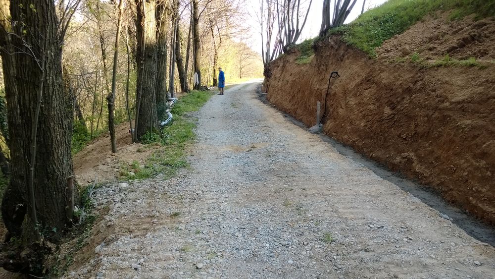 sistemazioni del 'verde', progettazioni esterni e giardini