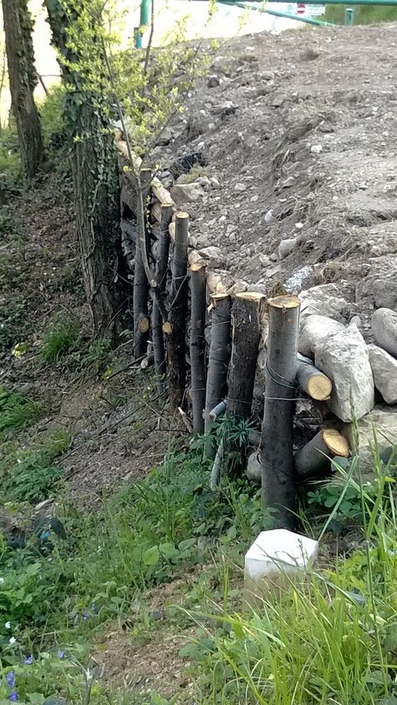 sistemazioni del 'verde', progettazioni esterni e giardini