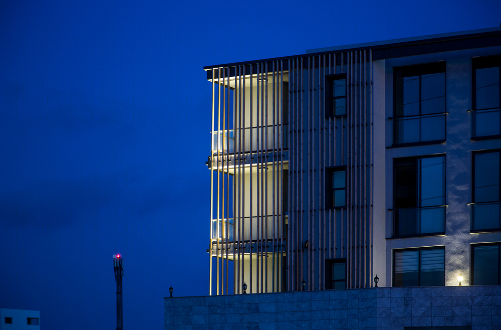 Anastasiya Gushchina丨公寓建筑丨Perspective Offices