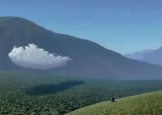 莫干山秘境杉林，尽享自然之美