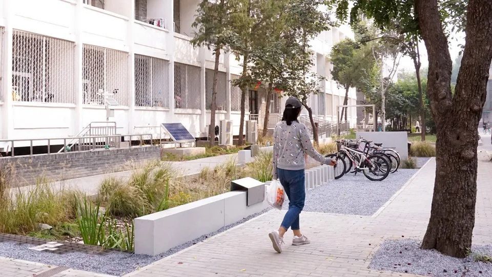 北京大学宿舍区果雨花园 | 绿洲中的雨水收集与利用
