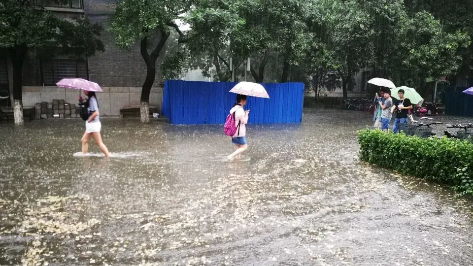 北京大学宿舍区果雨花园 | 绿洲中的雨水收集与利用