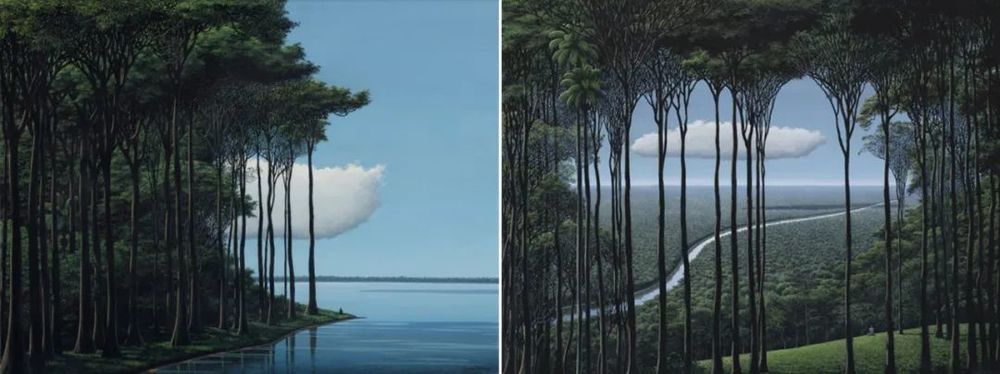 莫干山秘境杉林，尽享自然之美