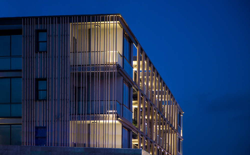 Anastasiya Gushchina丨公寓建筑丨Perspective Offices