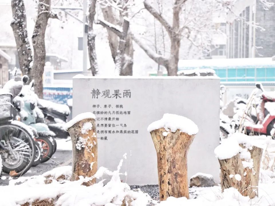 北京大学宿舍区果雨花园 | 绿洲中的雨水收集与利用