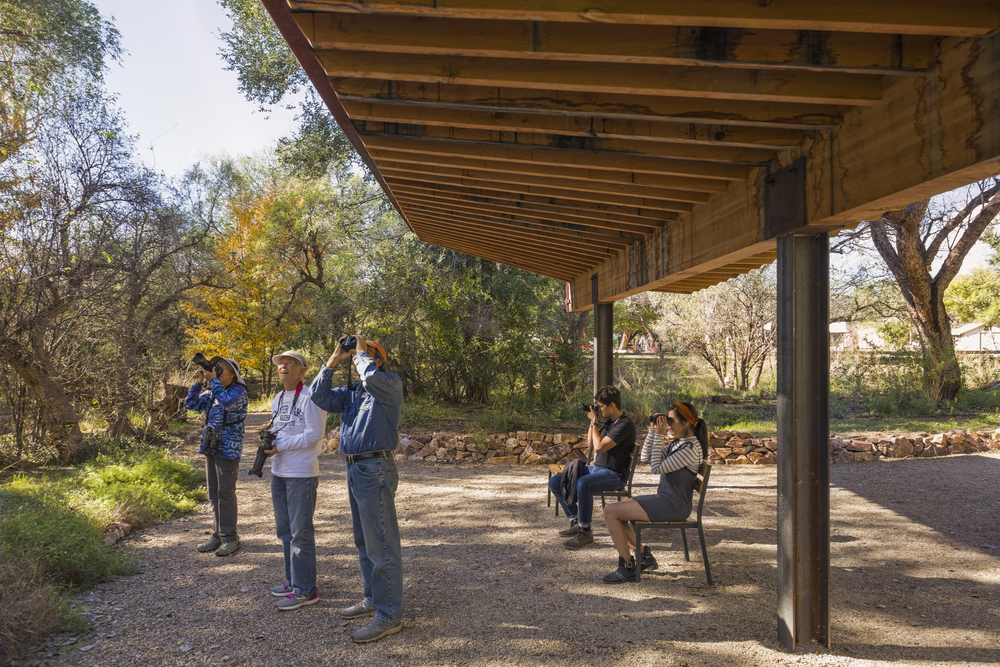 蝶舞蜂歌 | Tucson Audubon’s Paton Center 自然观景区