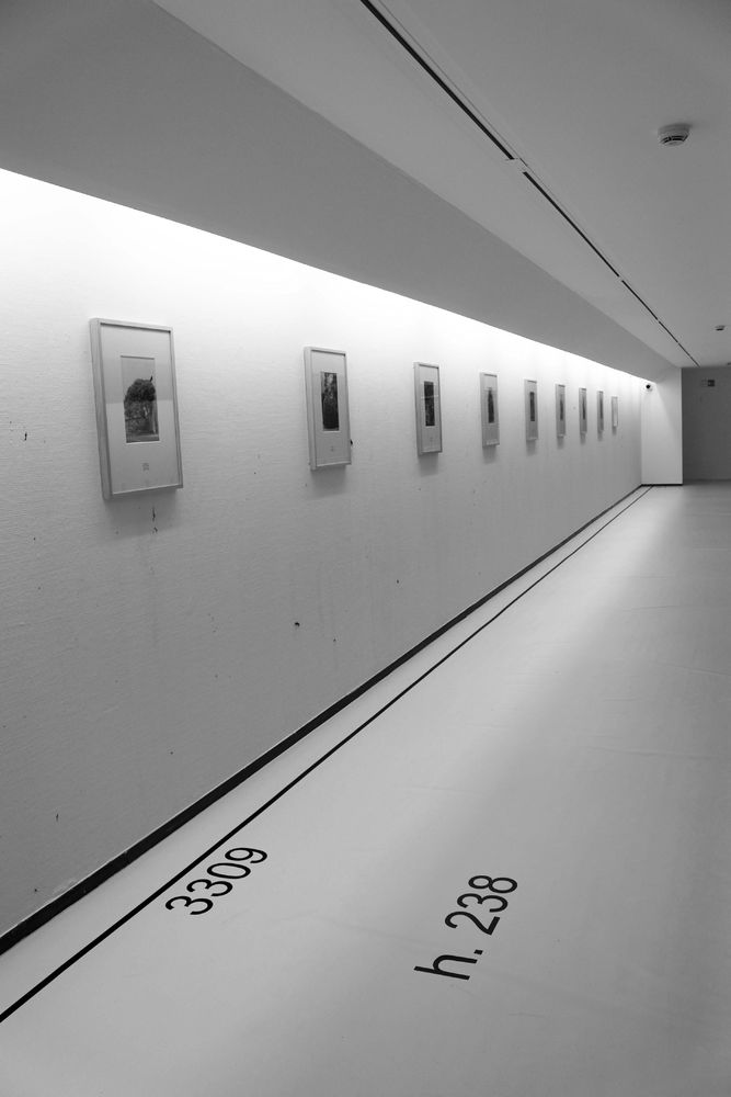 "Io, Luca Vitone"展览 | 重现经典建筑原貌