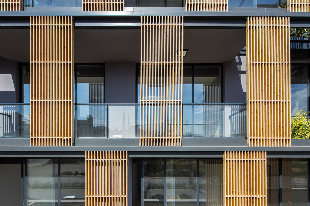 Anastasiya Gushchina丨公寓建筑丨Perspective Offices