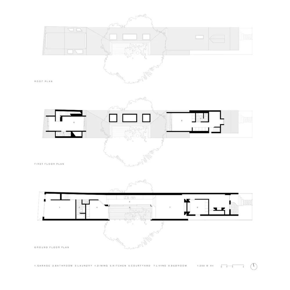 Lachlan Seegers Architect 打造精致庭院住宅
