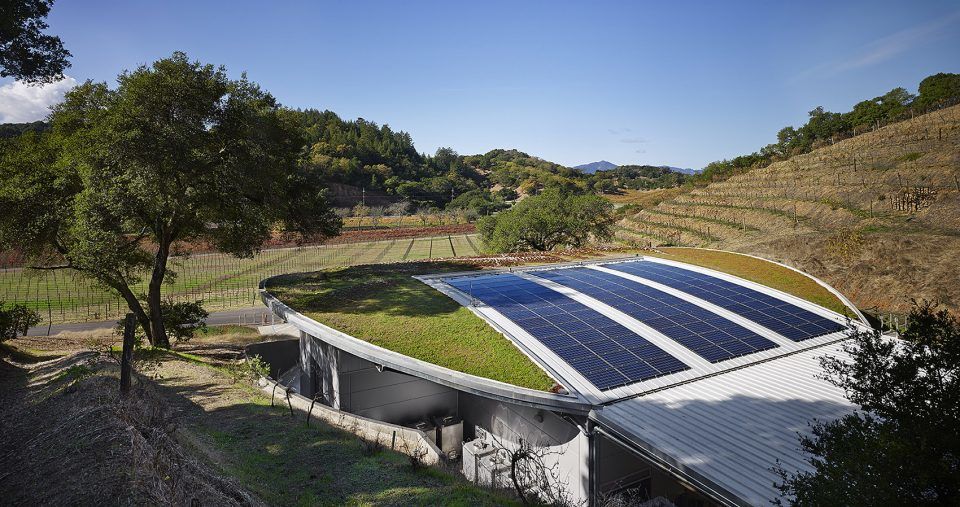美国 Odette Estate 酿酒厂——融入自然的绿色酿酒空间