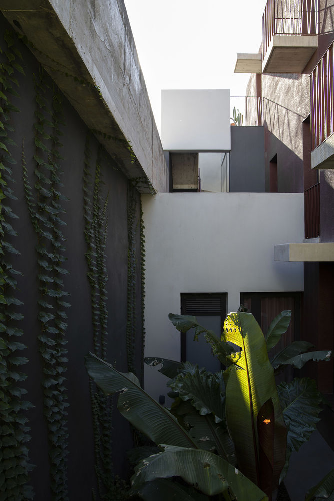 Saudade别墅｜马耳他｜Chris Briffa Architects