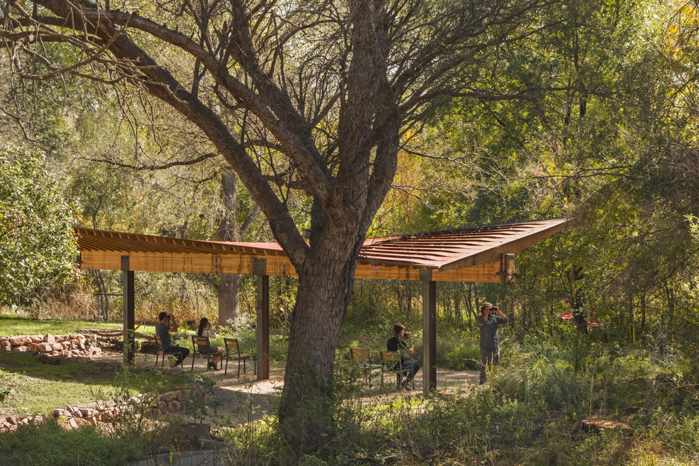蝶舞蜂歌 | Tucson Audubon’s Paton Center 自然观景区
