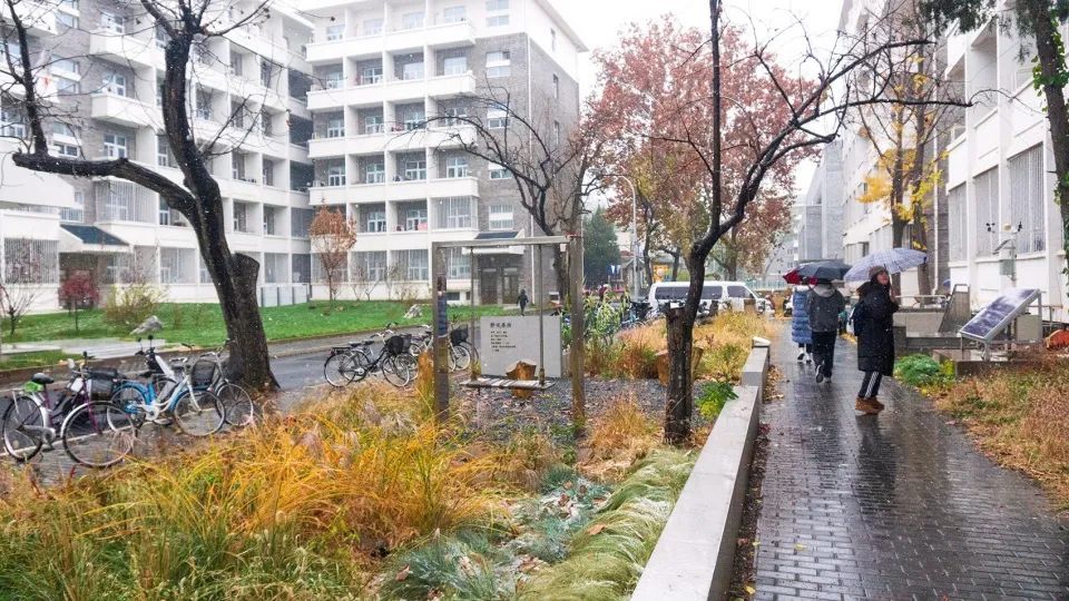 北京大学宿舍区果雨花园 | 绿洲中的雨水收集与利用