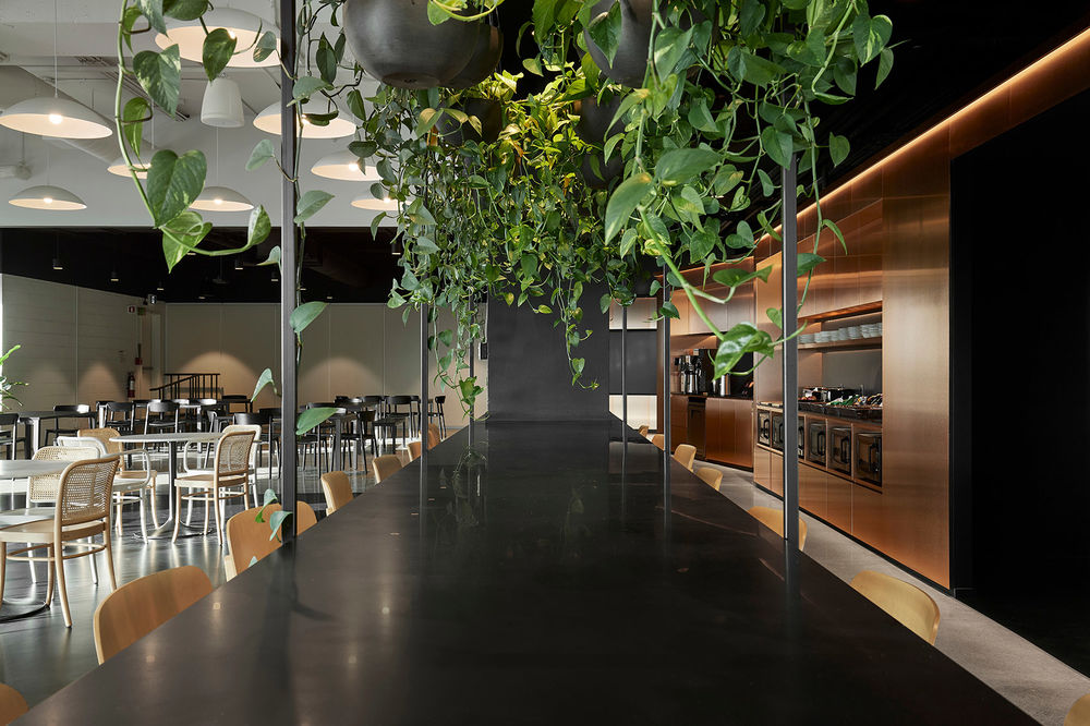 2K总部办公室，蒙特利尔 / ACDF Architecture