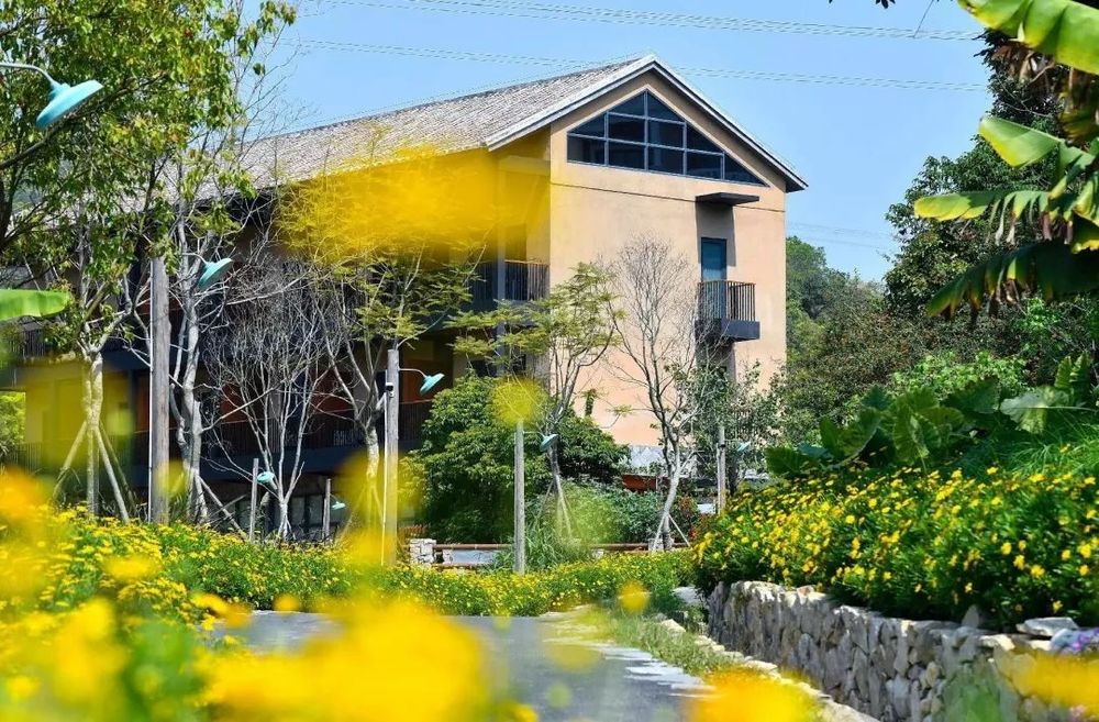 闽南古厝的重生 | 大帽山古厝群落里的流金岁月
