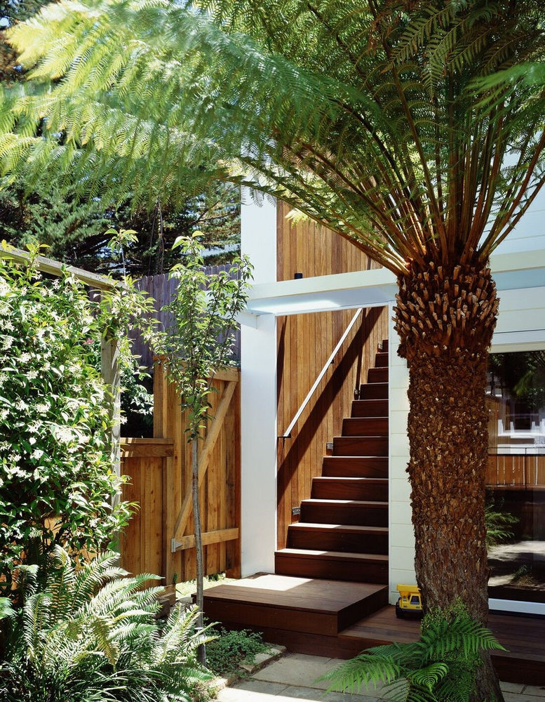 旧金山百年小屋的现代重生