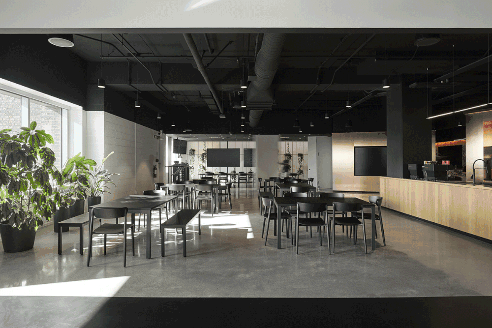 2K总部办公室，蒙特利尔 / ACDF Architecture